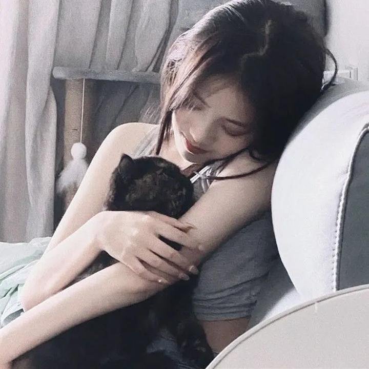 暗金烂狗2
